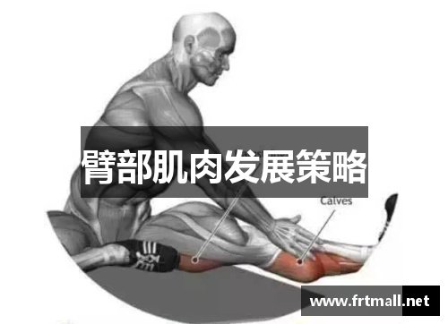 臂部肌肉发展策略